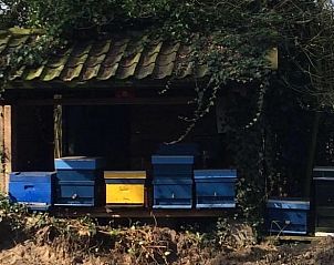 Unterkunft 384807 - Ferienhaus Noord Limburg - Vakantiehuis in Merselo