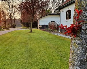 Unterkunft 384810 - Ferienhaus Noord Limburg - Huisje in Merselo