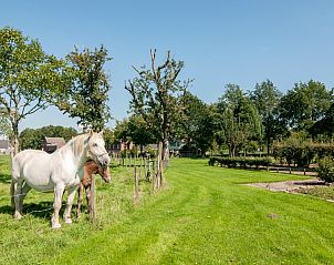 Verblijf 390513 - Bed and breakfast Zuid Limburg - Hof van Kleeberg