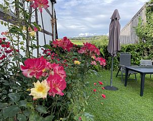 Guest house 390593 • Special overnight stays Zuid Limburg • Frensjerhofke 