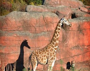 Verblijf 391101 - Vakantiewoning Zuid Limburg - Domein Hellebeuk