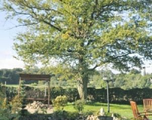 Verblijf 391703 - Vakantiewoning Zuid Limburg - Hoeve Nelderhof