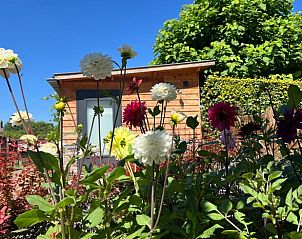 Verblijf 392204 - Vakantiewoning Zuid Limburg - Huisje in Banholt