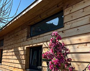 Verblijf 392204 - Vakantiewoning Zuid Limburg - Huisje in Banholt