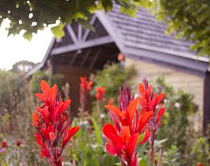 Unterkunft 402501 - Ferienhaus De Peel - Vakantiehuisje in De Rips