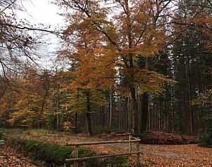 Unterkunft 402501 - Ferienhaus De Peel - Vakantiehuisje in De Rips