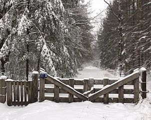 Unterkunft 402501 - Ferienhaus De Peel - Vakantiehuisje in De Rips