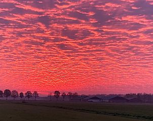 Unterkunft 402502 - Ferienhaus De Peel - Huisje in De Rips