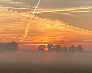 Unterkunft 402502 - Ferienhaus De Peel - Huisje in De Rips