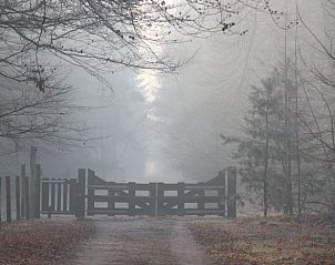 Unterkunft 402502 - Ferienhaus De Peel - Huisje in De Rips