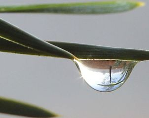 Unterkunft 402502 - Ferienhaus De Peel - Huisje in De Rips