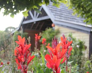 Unterkunft 402503 - Ferienhaus De Peel - Vakantiehuisje in De Rips