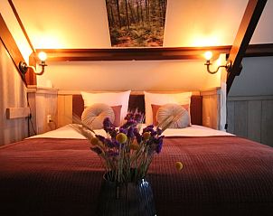 Unterkunft 402503 - Ferienhaus De Peel - Vakantiehuisje in De Rips