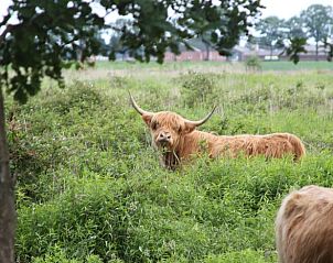 Unterkunft 402503 - Ferienhaus De Peel - Vakantiehuisje in De Rips
