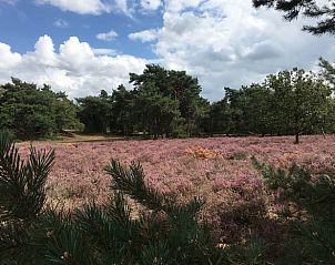 Unterkunft 402503 - Ferienhaus De Peel - Vakantiehuisje in De Rips