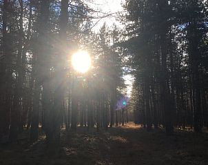 Unterkunft 402503 - Ferienhaus De Peel - Vakantiehuisje in De Rips