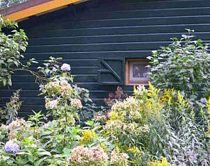 Verblijf 410403 - Bed and breakfast Kempen - Het optrekje