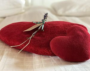 Unterkunft 430311 - Ferienhaus Noordoost Brabant - De Meerenhof