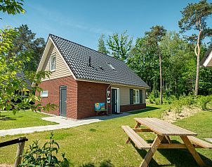 Unterkunft 430509 - Bungalow Noordoost Brabant - De Vers | 6-persoons kinderbungalow | 6CK