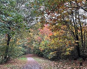 Unterkunft 430518 - Ferienhaus Noordoost Brabant - Vakantiehuis in Overloon