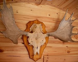 Unterkunft 430519 - Ferienhaus Noordoost Brabant - Vakantiehuis in Overloon