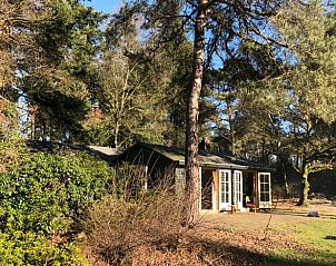 Unterkunft 432706 - Ferienhaus Noordoost Brabant - Vakantiehuis in Oploo