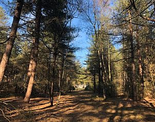 Unterkunft 432706 - Ferienhaus Noordoost Brabant - Vakantiehuis in Oploo
