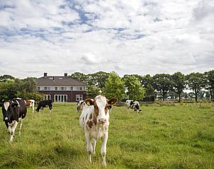 Verblijf 436302 - Vakantiewoning Noordoost Brabant - Huisje in Vierlingsbeek