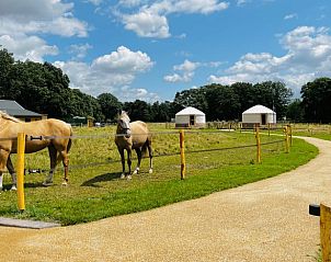 Unterkunft 436403 - Ferienhaus Noordoost Brabant - Vakantiehuis in Ledeacker