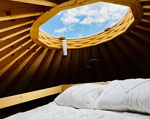 Unterkunft 436403 - Ferienhaus Noordoost Brabant - Vakantiehuis in Ledeacker