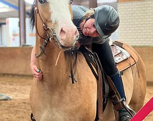 Guest house 436403 - Holiday property Noordoost Brabant - Vakantiehuis in Ledeacker