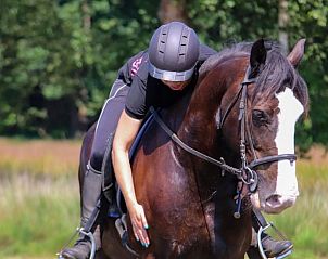 Guest house 436403 - Holiday property Noordoost Brabant - Vakantiehuis in Ledeacker