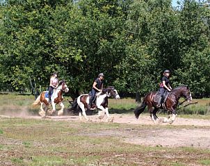 Guest house 436403 - Holiday property Noordoost Brabant - Vakantiehuis in Ledeacker