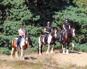 Guest house 436403 - Holiday property Noordoost Brabant - Vakantiehuis in Ledeacker