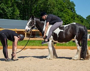 Guest house 436403 - Holiday property Noordoost Brabant - Vakantiehuis in Ledeacker