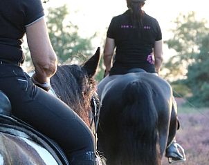 Guest house 436404 - Holiday property Noordoost Brabant - Vakantiehuisje in Ledeacker