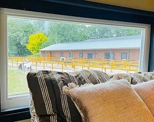 Unterkunft 436405 - Ferienhaus Noordoost Brabant - Huisje in Ledeacker