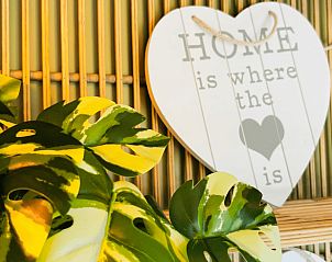 Unterkunft 436405 - Ferienhaus Noordoost Brabant - Huisje in Ledeacker