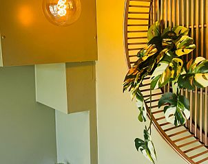 Unterkunft 436405 - Ferienhaus Noordoost Brabant - Huisje in Ledeacker