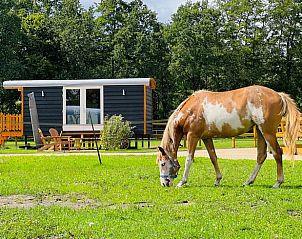 Unterkunft 436405 - Ferienhaus Noordoost Brabant - Huisje in Ledeacker