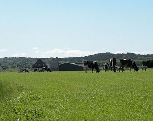 Verblijf 450104 - Appartement Noordzeekust - De Dors