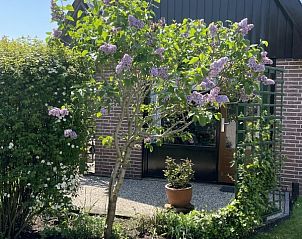 Unterkunft 450115 - Ferienhaus Noordzeekust - de Vlinder