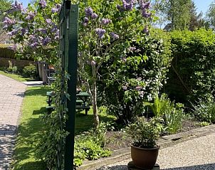 Unterkunft 450115 - Ferienhaus Noordzeekust - de Vlinder