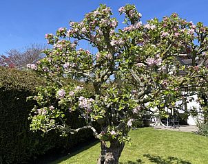 Verblijf 450116 - Vakantiewoning Noordzeekust - de Kever