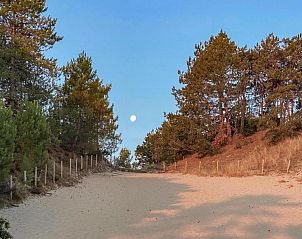 Unterkunft 450233 - Ferienhaus Noordzeekust - De Strandvogel