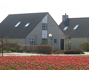 Guest house 450237 - Holiday property Noordzeekust - Duinvilla Noor