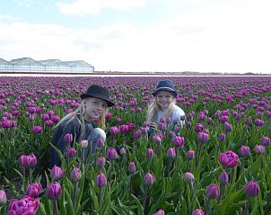 Guest house 450237 - Holiday property Noordzeekust - Duinvilla Noor