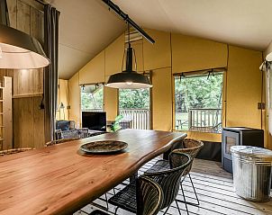 Unterkunft 450248 - Zelthaus Noordzeekust - Strandtent 8 personen