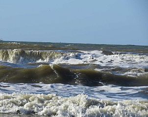 Guest house 450250 - Holiday property Noordzeekust - 207072