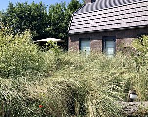 Guest house 4503199 - Holiday property Noordzeekust - Vakantiehuis Klein Geluk